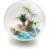 Panacea Terrarium Filler Kit - Nautical/Beach Theme