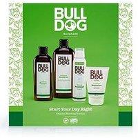Bulldog Skincare For Men Morning Routine