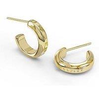 Radley 18Ct Gold Plated Hoop Earrings