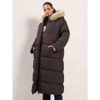Yours Womens Curve Plush Fur Trim Padded Puffer Coat - Brown