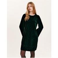 Finery Womens Hattie Zebra Velvet Long Sleeve Dress - Green