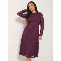 M &Co Petite Petite Lace Long Sleeve Midi Dress