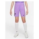 Nike Liverpool F.C. 2022/23 Stadium Goalkeeper Older Kids' Nike Dri-Fit Football Shorts - Lilac/Blac