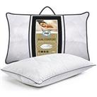 Sealy Dual Comfort Memory Foam Pillow - White