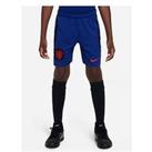 Nike Youth Holland Away Wc 2022 Short - Blue