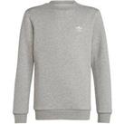 Adidas Originals Junior Adicolor Trefoil Sweatshirt (Long Sleeve) - Dark Grey