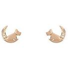 Radley Ladies Moon & Dog Stud Earrings