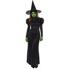 Halloween Ladies Wicked Witch Costume