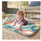 Fisher-Price Roly-Poly Panda Play - Baby Activity Mat