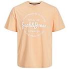 Jack & Jones Junior Boys Forest Short Sleeve T-Shirt - Apricot Ice
