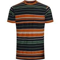 Weird Fish Herne Organic Cotton Stripe T-Shirt Deep Lichen Green Size XL
