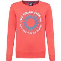 Weird Fish Aurora Graphic Crew Neck Sweatshirt Faded Blue Size 8