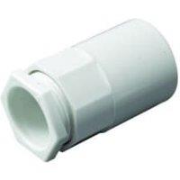 TTE White Female Conduit Adaptor - 20mm - Pack of 2