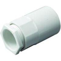 TTE White Female Conduit Adaptor - 25mm - Pack of 2