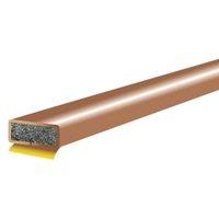 4FireDoors Brown Intumescent Fire Seal - 10 x 4mm - Pack of 5