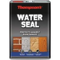 Thompson's Water Seal - 5L