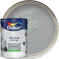 Dulux Silk Emulsion Paint - Warm Pewter - 5L