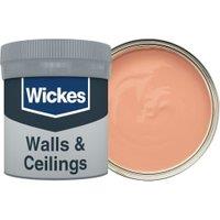 Wickes Vinyl Matt Emulsion Paint Tester Pot - Burnt Copper No.515 - 50ml
