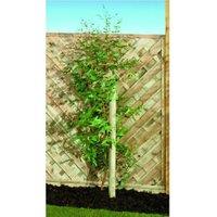 Wickes Timber Garden Tree Stake - 40 x 1800mm