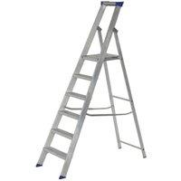 Werner MasterTrade 6 Tread Aluminium Platform Stepladder