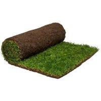 Rolawn Medallion Grass Turf - 1m2 rolls x 20