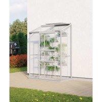 Vitavia Ida Toughened Glass Greenhouse with Steel Base - 2 x 4ft