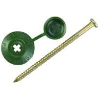 Onduline Green Safe Top Nail - 70mm - Pack of 20