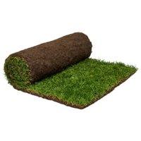 Rolawn Medallion Grass Turf - 1m2 rolls x 70