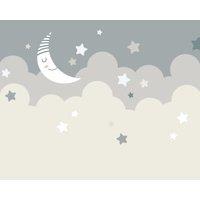 Origin Murals Nighttime Children's Sky Dove Grey Wall Mural - 3 x 2.4m