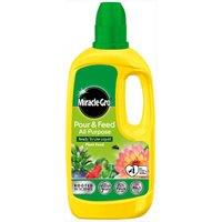 Miracle Gro Pour & Feed - 1L