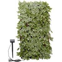 Smart Garden Ivy Leaf 75 LED Solar Trellis - 180 x 90cm