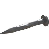 Sheradised Joist Hanger Nails 30 x 3.75mm - 1.25kg bag