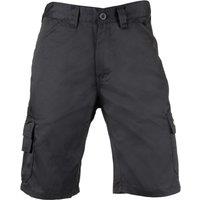 Dickies Everyday Short Black - 32W