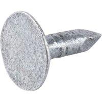 Galvanised Extra Large Clout Nails - 13 x 3mm - 500g