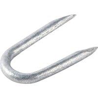 Wire Staples - 15 x 16mm - 500g