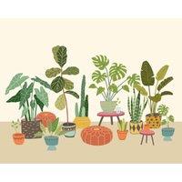 Origin Murals Houseplant Pots Natural Wall Mural - 3.5 x 2.8m