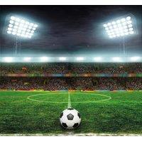 Origin Murals Football Stadium Green Wall Mural - 3.5 x 2.8m