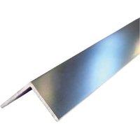 Multipanel Type 102 Bright Polished Angle Profile - 2450mm