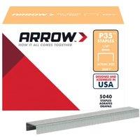 Arrow P35 Heavy Duty Staples 6mm (1/4in) - Pack of 5040