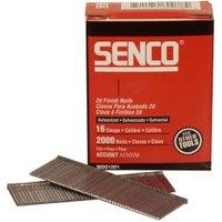 Senco RX17EAA 16-Gauge 38mm Galvanised Straight Brad Nails - Pack of 2000