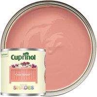 Cuprinol Garden Shades Matt Wood Treatment - Coral Splash - 125ml