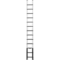 Telesteps 
