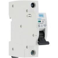 BG Fortress MCB 20A B curve