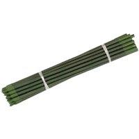 Smart Garden Extendable Gro Stakes - Pack of 10