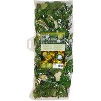 Apollo Gardening Apple Leaf Expanding Trellis with Solar LEDs - 1.8m x 0.6m