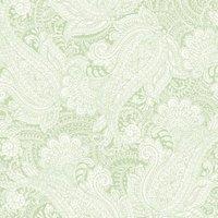 Hoopla Paisley Mint Green Matt Wallpaper - 10m