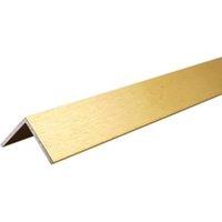 Multipanel Type 102 Brushed Brass Angle Profile - 2750mm