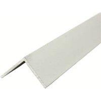 Multipanel Type 102 Satin Anodised Angle Profile - 2750mm