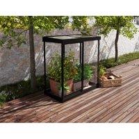 Palram Canopia Black Ivy Miniture Greenhouse - 4 x 2ft