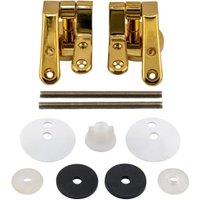 Fluidmaster Gold Toilet Seat Hinges